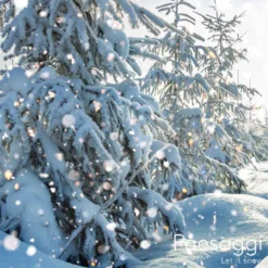 Bassetti Completo Copripiumone Let it Snow - Copripiumini