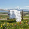 Daunex Piumino d’Oca St. Moritz 4 Stagioni DUO Singolo MAXI 155x220