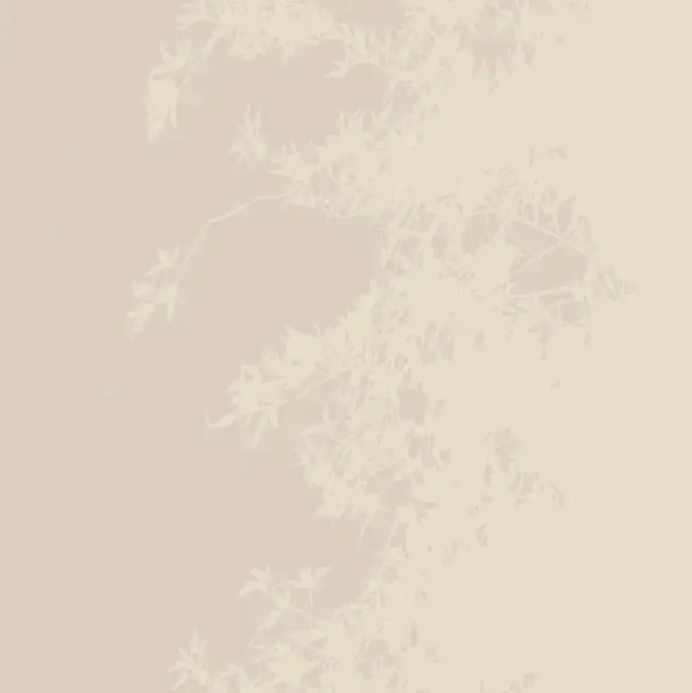 Telo GABEL in cotone Vulcano matrimoniale lino 270x270 cm | Copritutto